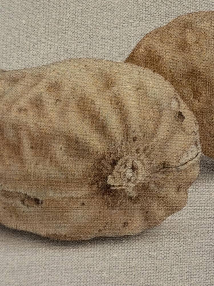 Priča iza slike: Alfredo Barsuglia